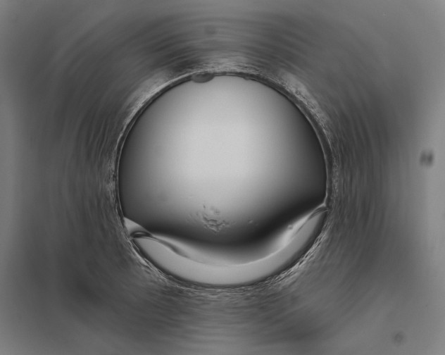 X0000097751089200803281604