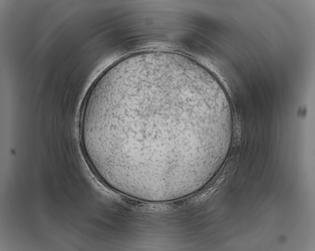 X0000097751090200803281604