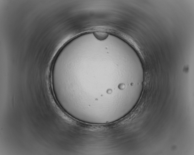 X0000097751091200803281604