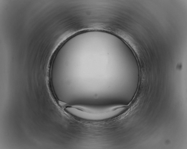 X0000097751093200803281604