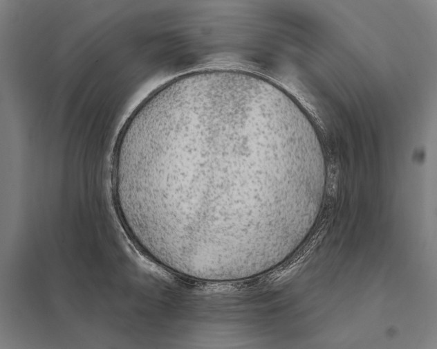 X0000097751094200803281604