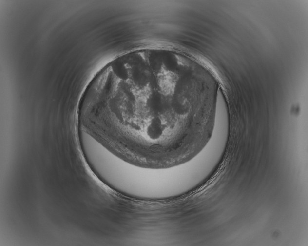 X0000097751095200803281604