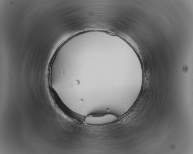 X0000097751096200803281603