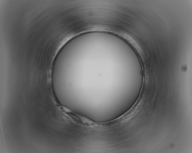 X0000097751097200803281603