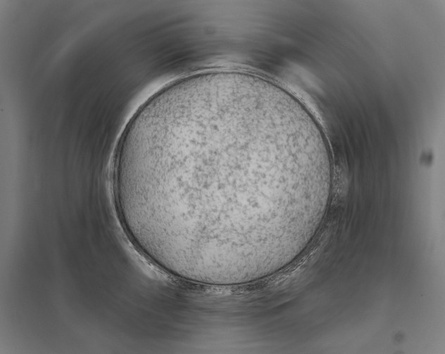 X0000097751098200803281603