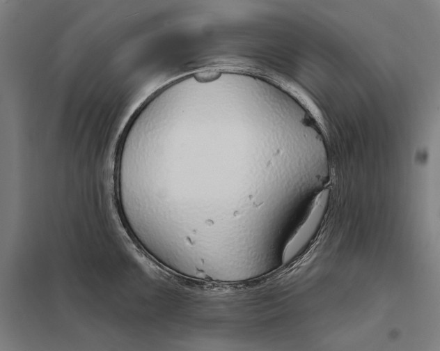 X0000097751099200803281603