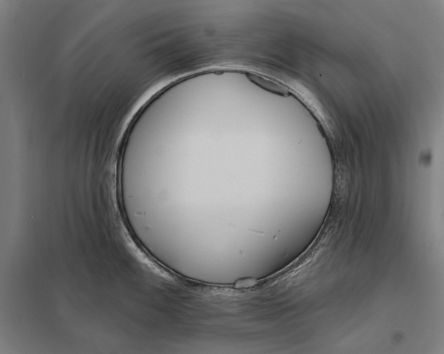 X0000097751100200803281603