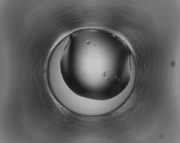 X0000097751101200803281603