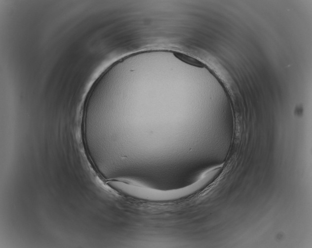 X0000097751102200803281603