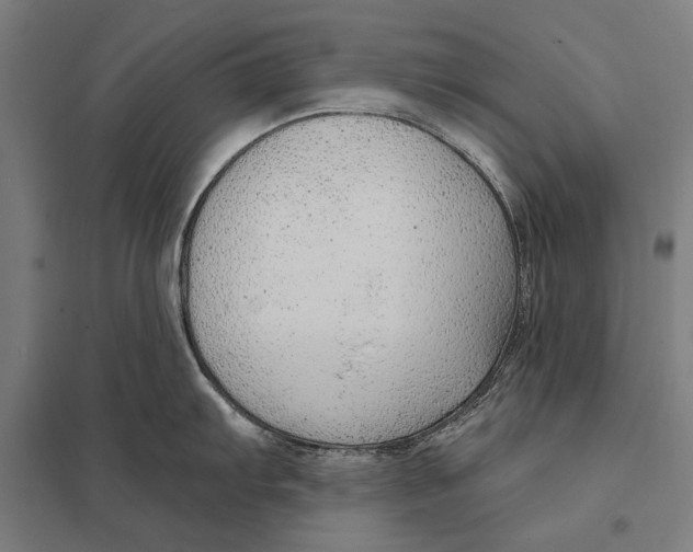 X0000097751103200803281603