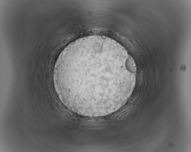 X0000097751105200803281603