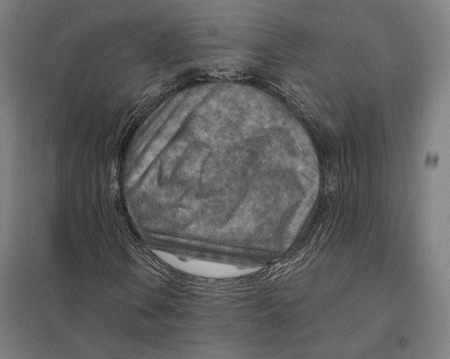 X0000097751106200803281603