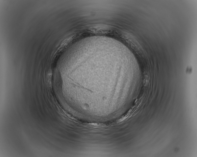 X0000097751108200803281603