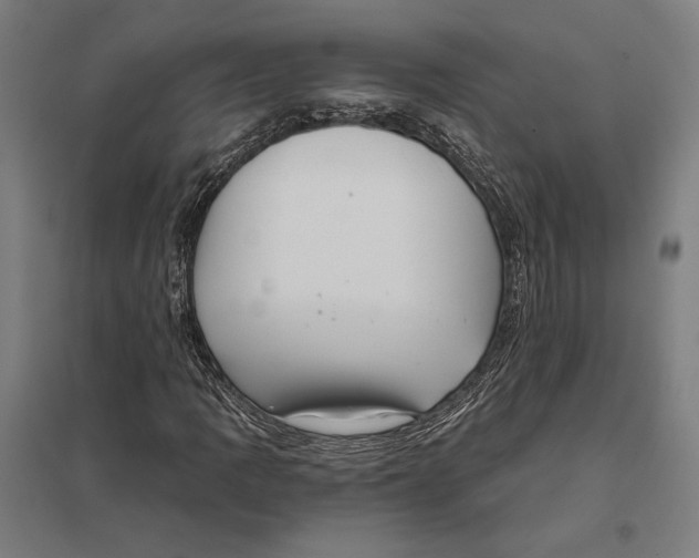 X0000097751109200803281603