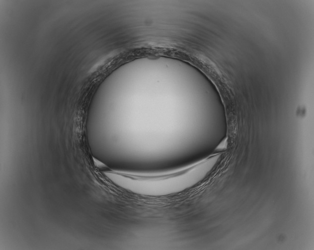 X0000097751110200803281603