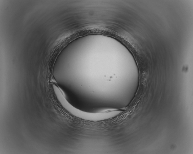 X0000097751111200803281603