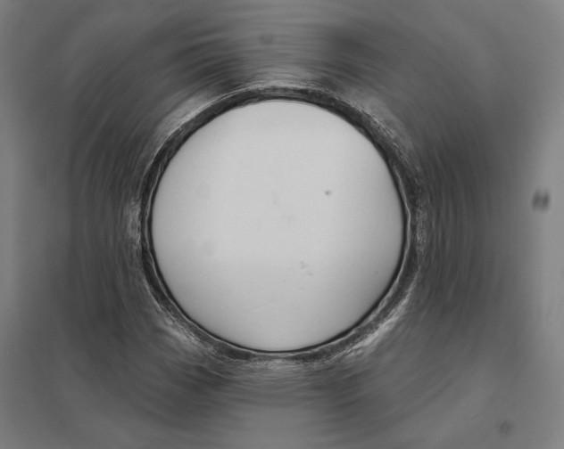 X0000097751113200803281603