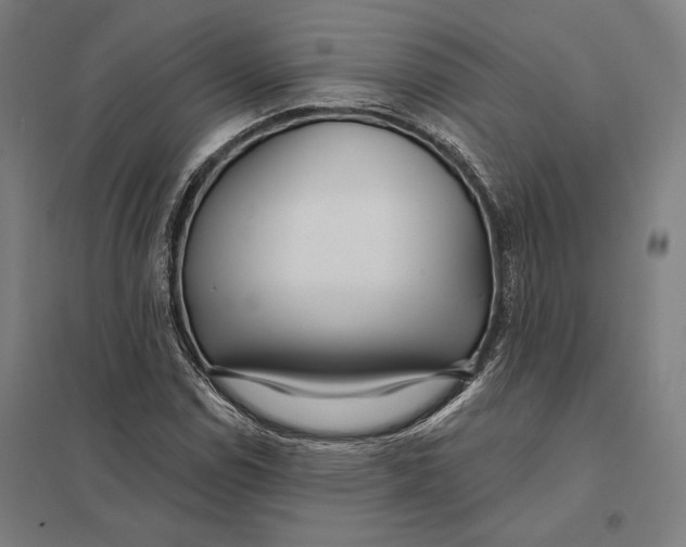 X0000097751114200803281603