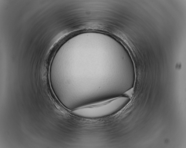 X0000097751115200803281603