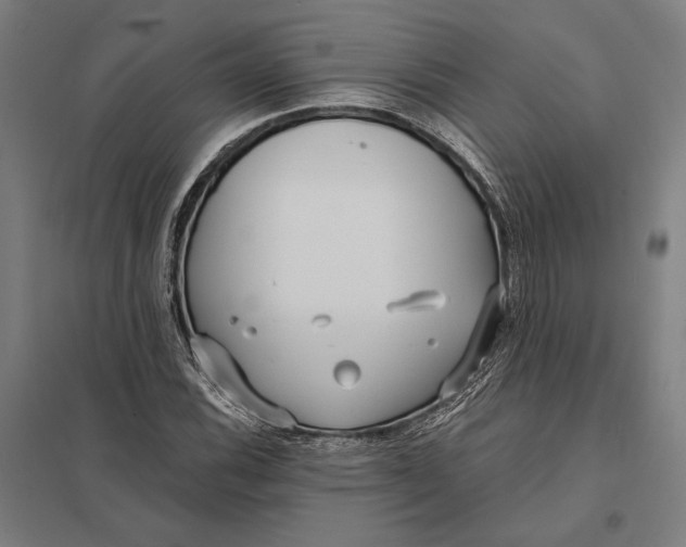 X0000097751116200803281603