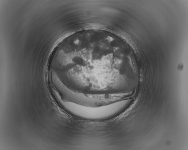 X0000097751117200803281603