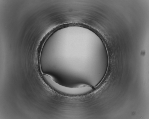 X0000097751118200803281603