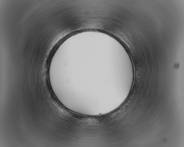 X0000097751119200803281603