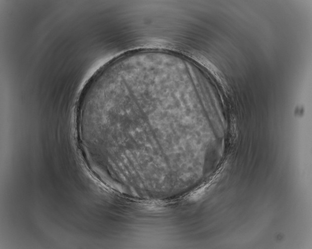 X0000097751120200803281603