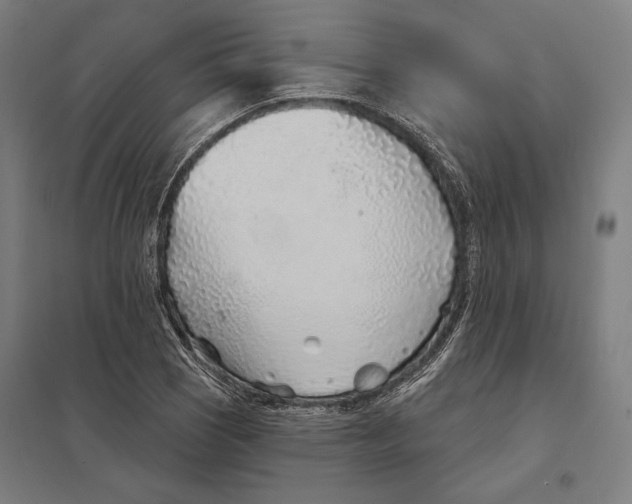 X0000097751121200803281603