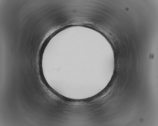 X0000097751122200803281603