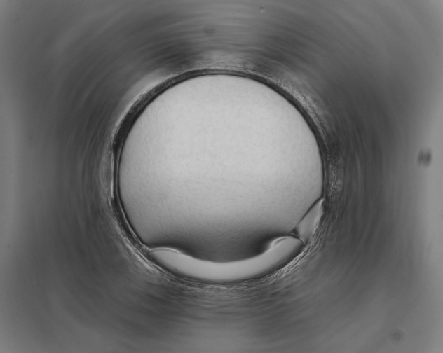 X0000097751123200803281603