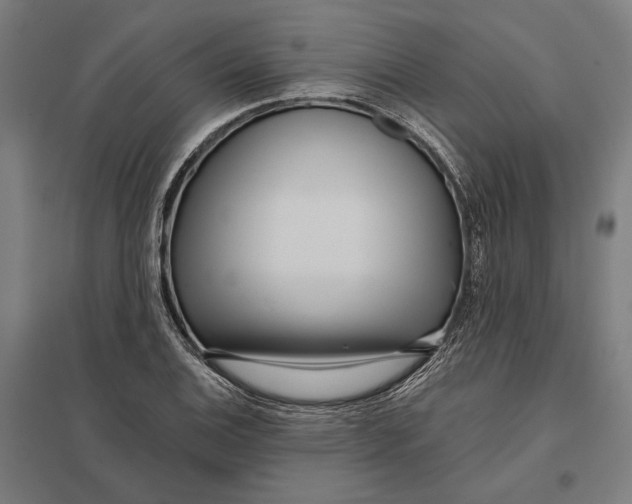 X0000097751124200803281603