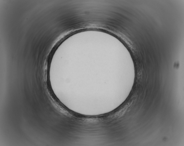 X0000097751126200803281603