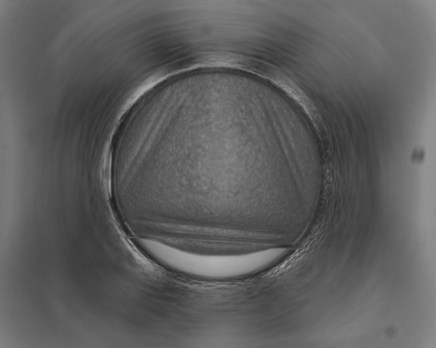 X0000097751127200803281603