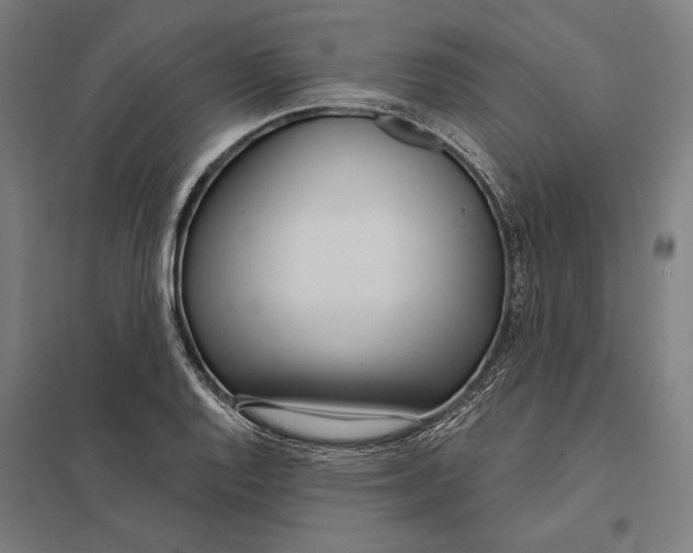 X0000097751128200803281603