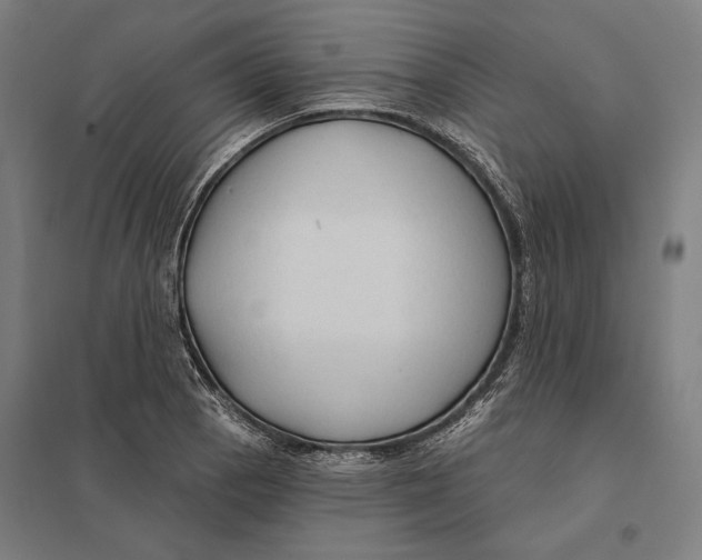 X0000097751129200803281603