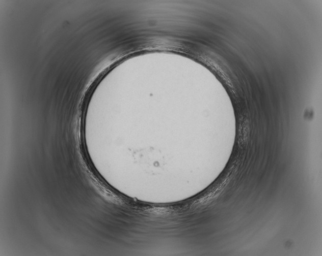 X0000097751130200803281603