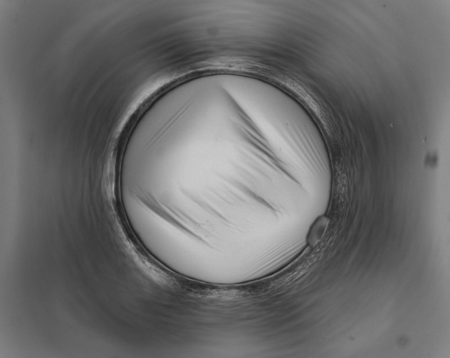 X0000097751131200803281603