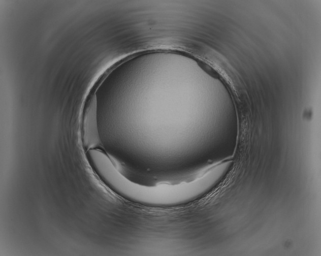 X0000097751132200803281603