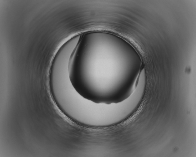 X0000097751134200803281603