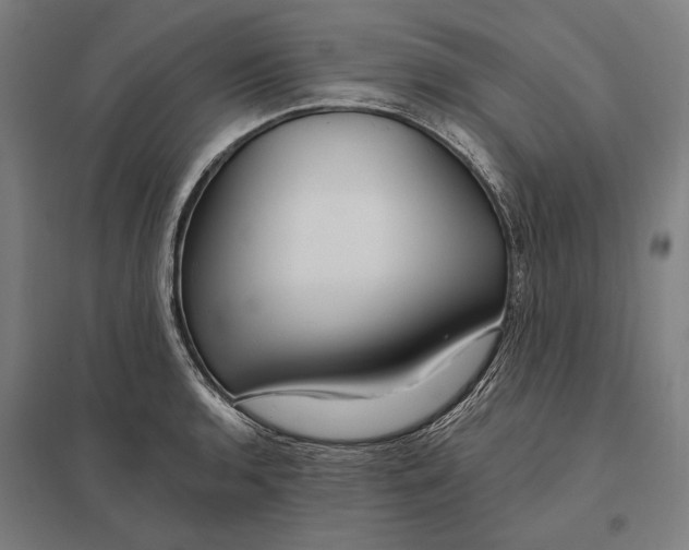 X0000097751136200803281603