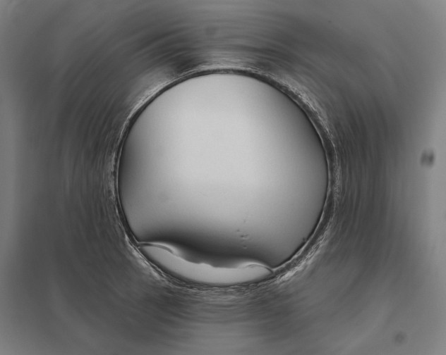 X0000097751137200803281603