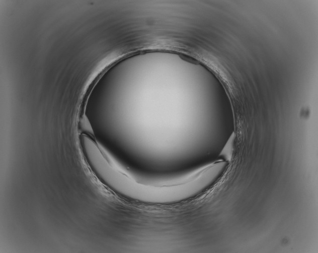 X0000097751138200803281603