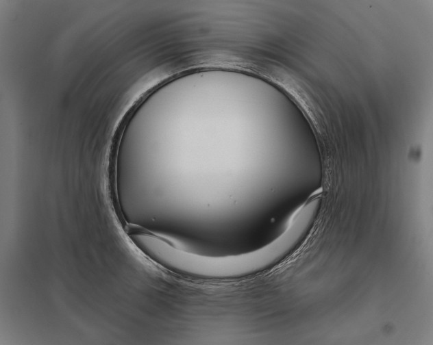 X0000097751139200803281603