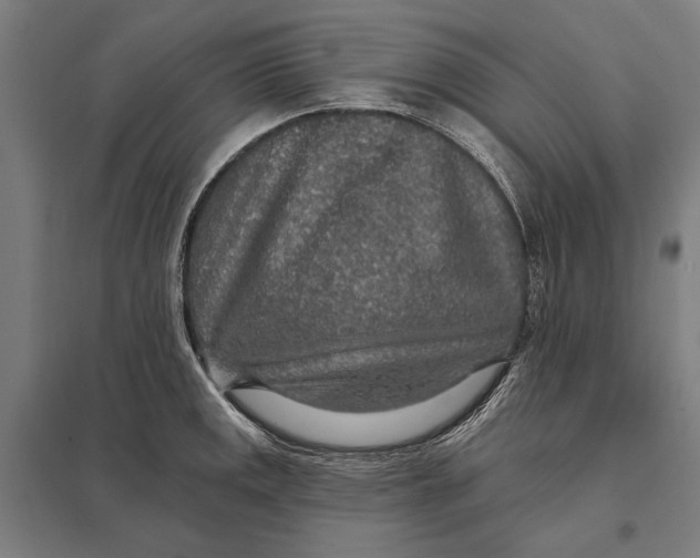 X0000097751141200803281603