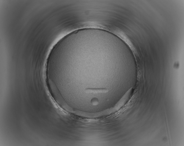 X0000097751144200803281603