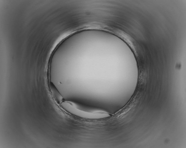 X0000097751146200803281603