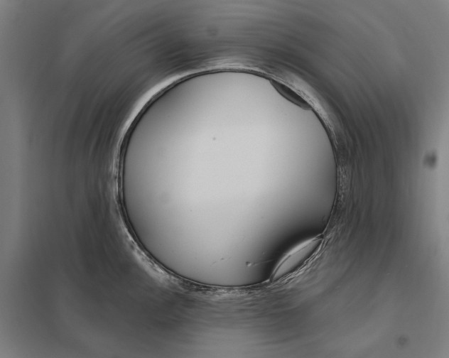 X0000097751148200803281603