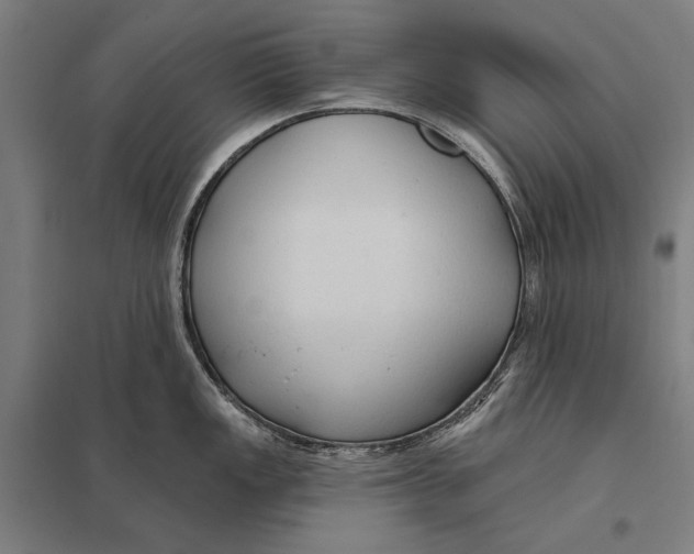 X0000097751149200803281603