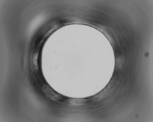 X0000097751150200803281603